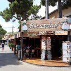 La Bécassine - détail